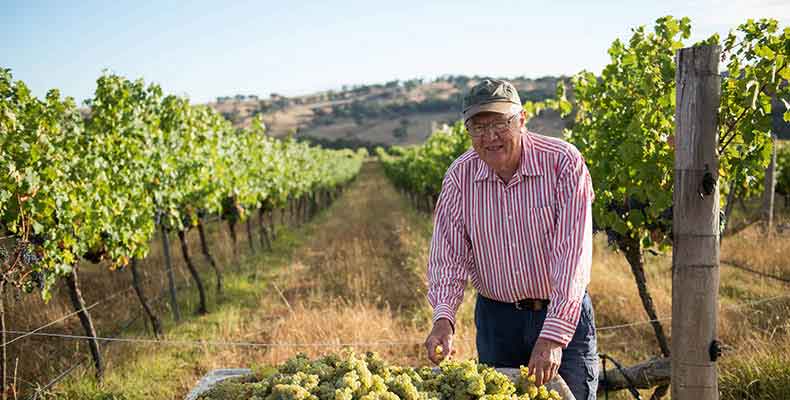 ROSS-HILL-48-of-72-opt